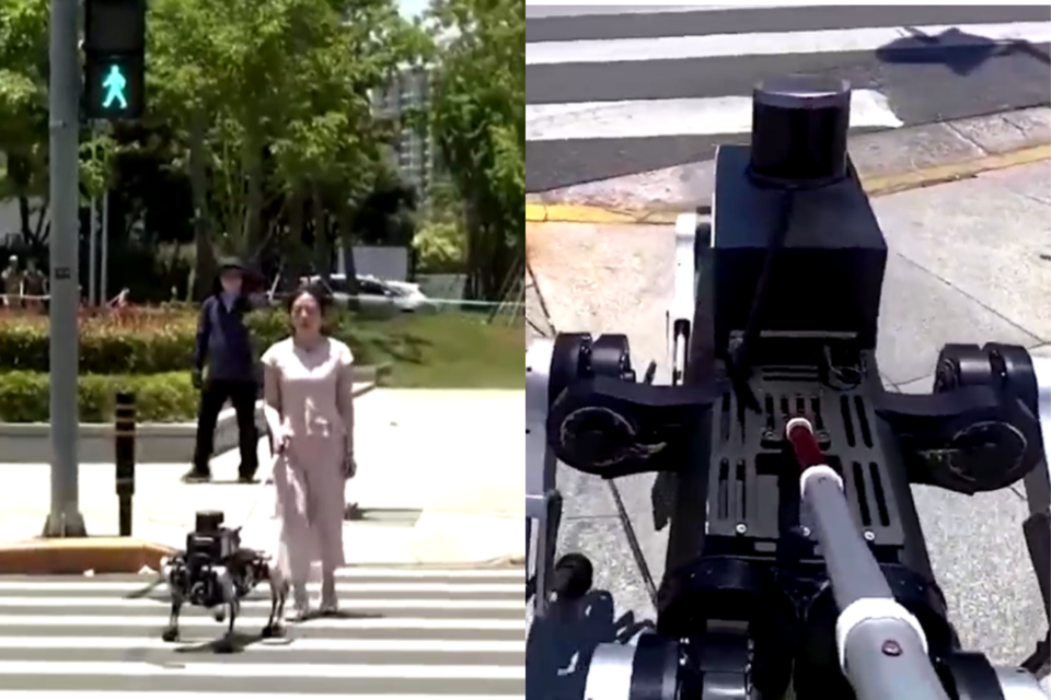 (사진=중국 상하이교통대)