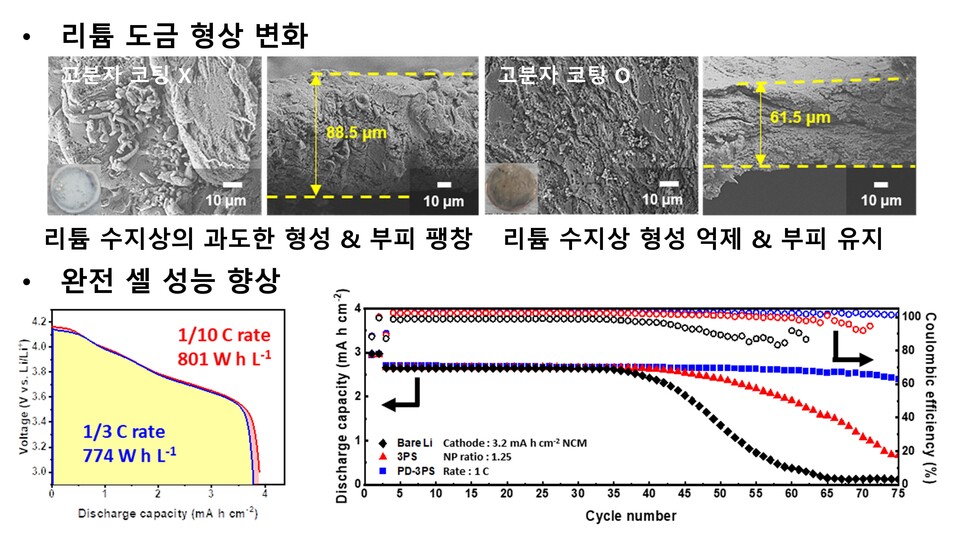 폴리도파민 코팅 유무에 따른 리튬 금속 도금 형상 및 완전 셀 성능 비교. (사진=지스트)