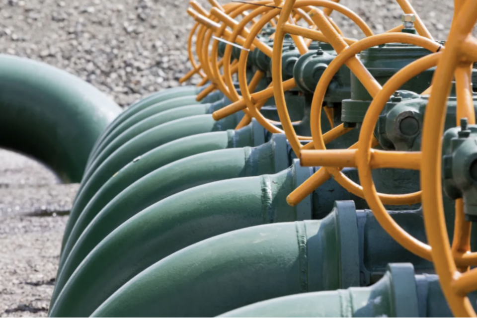 (사진=윌리엄스 컴퍼니)