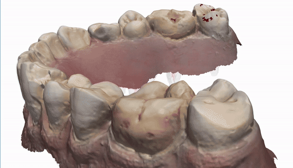 (그래픽=펄셉티브)