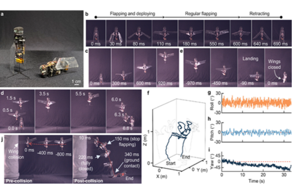 장수풍뎅이 모방 로봇 ‘KUBeetle’의 수직 상승, 정지, 착륙 등의 비행 과정 연구 도식. (사진=건국대학교)