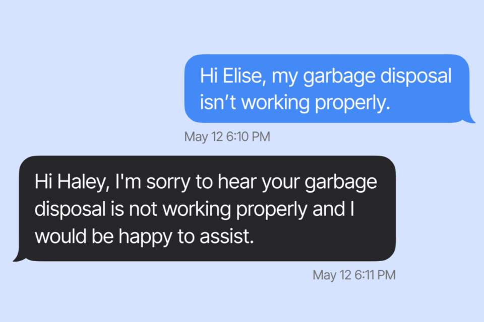 (사진=엘리스AI)