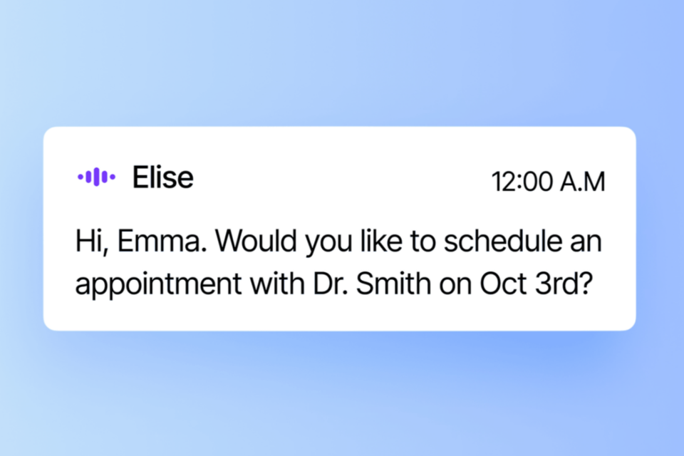 엘리스AI가 개발한 헬스AI. (사진=엘리스AI)