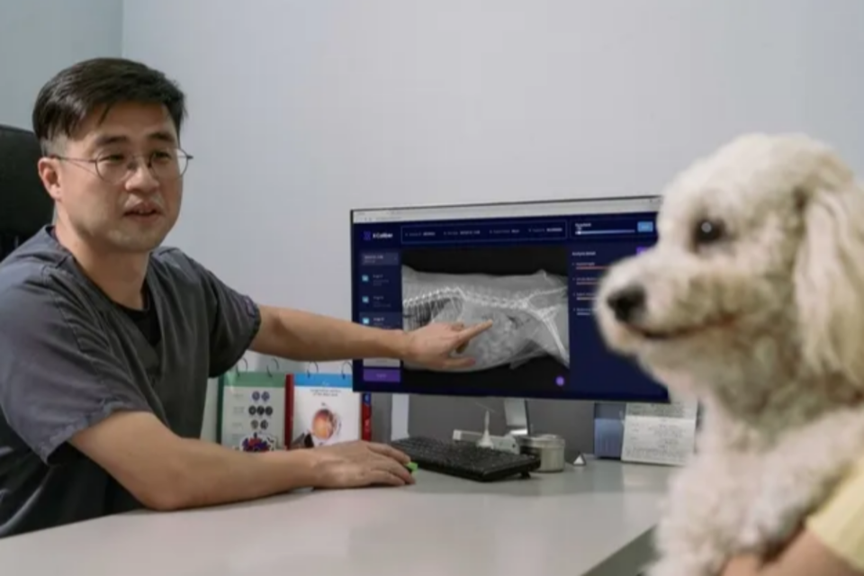 (사진=SK텔레콤)