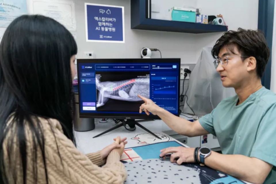 (사진=SK텔레콤)