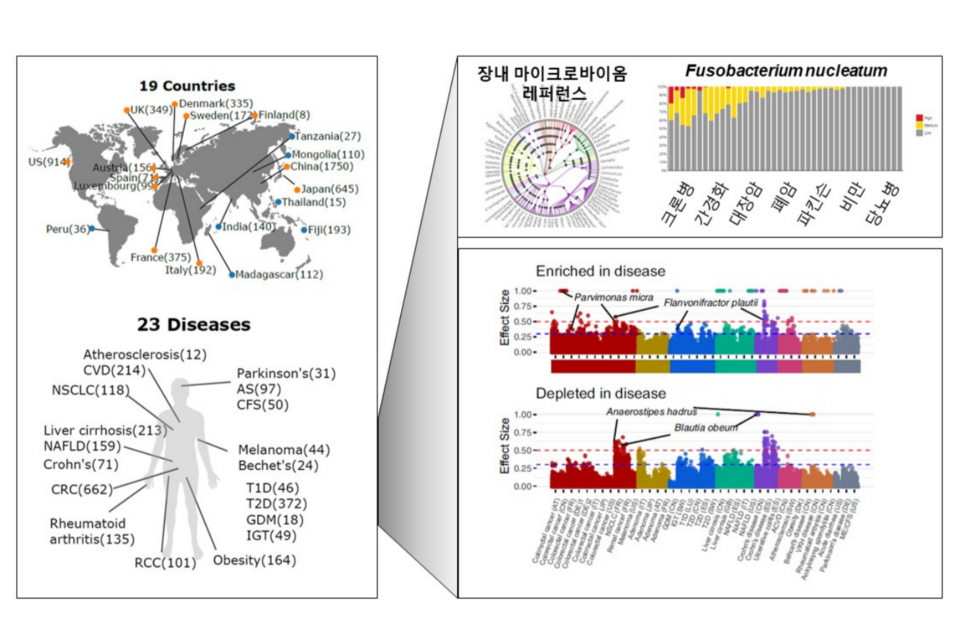 인체 질병 마이크로바이옴 지도(Human Gut Microbiome Atlas). (사진=지스트)