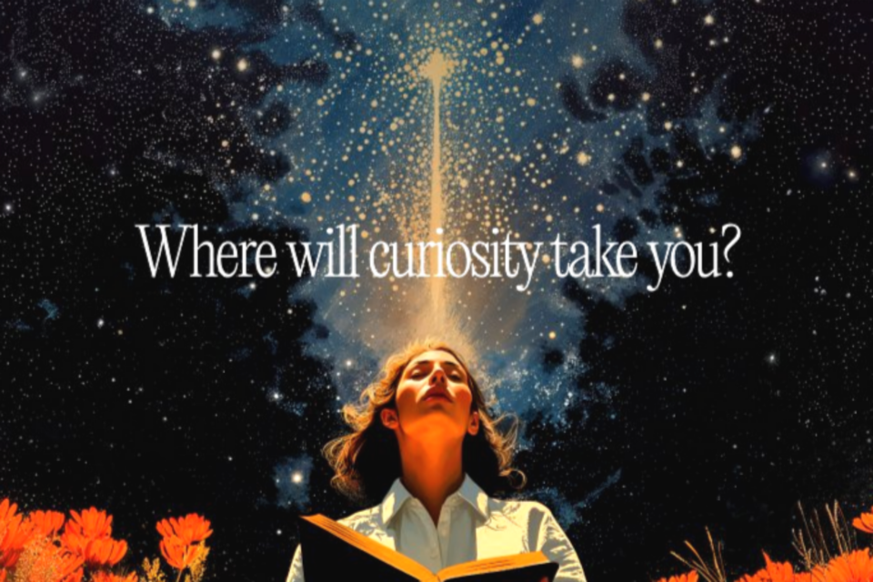 (사진=퍼플렉시티)