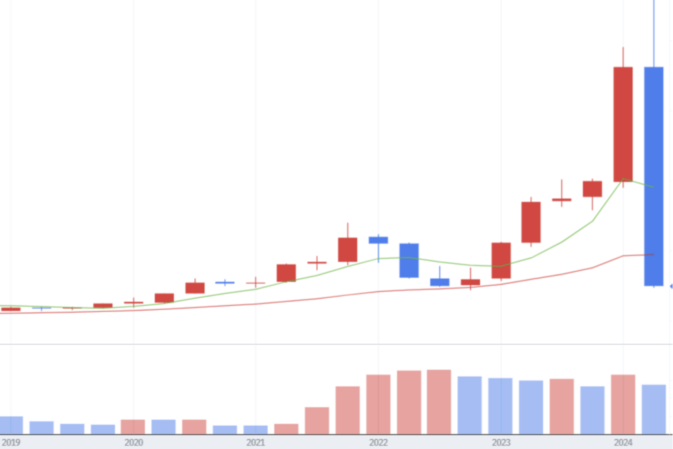 2019년부터 분기별 엔비디아 주가를 나타낸 그래프. (사진=네이버 증권)