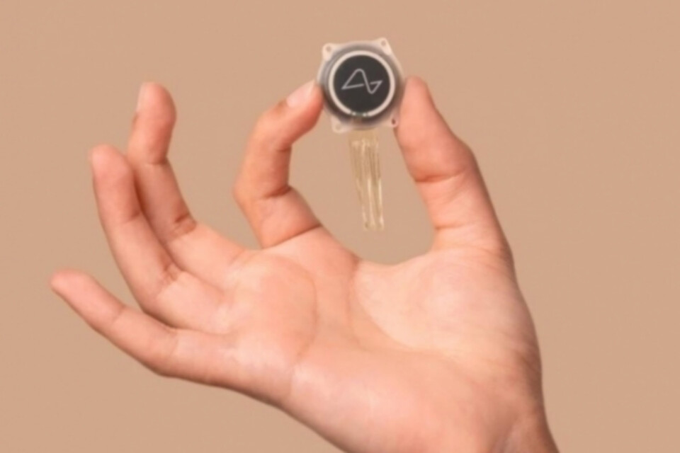 (사진=뉴럴링크)