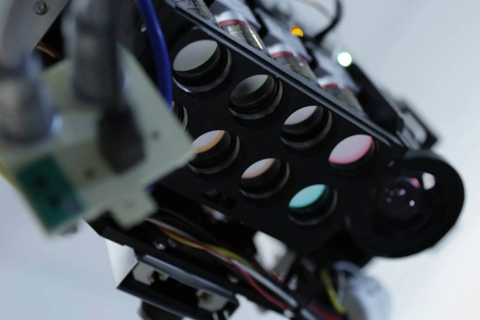 (사진=네코헬스)