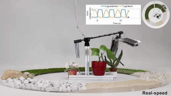 (그래픽=스위스 취리히 연방공대 연구팀)