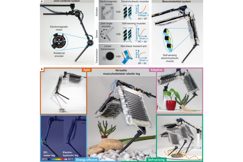 (사진=스위스 취리히 연방공대 연구팀)
