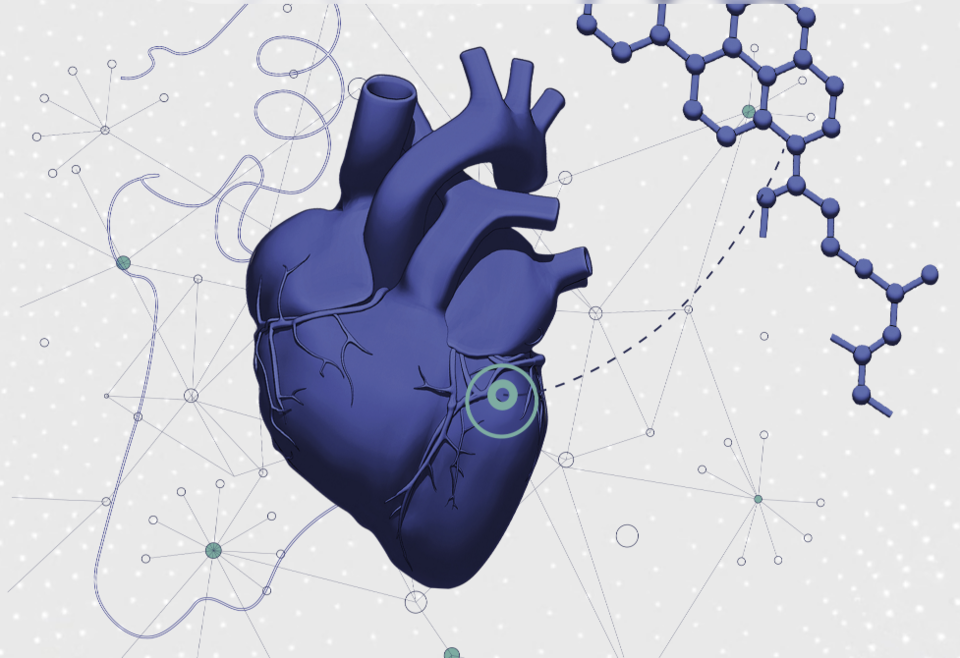 (사진=카디아테크)