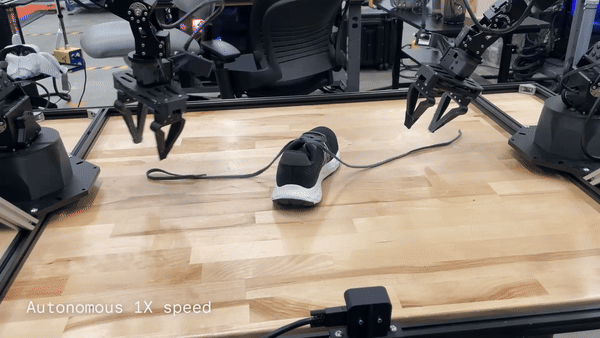 (그래픽=구글 딥마인드)