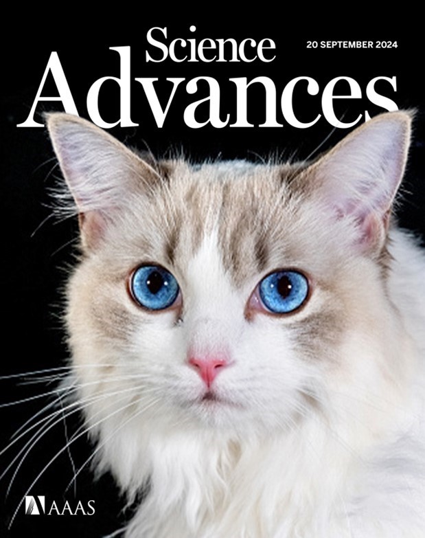 사이언스 어드밴시스(Science Advances)에 표지논문으로 선정. (사진=지스트)