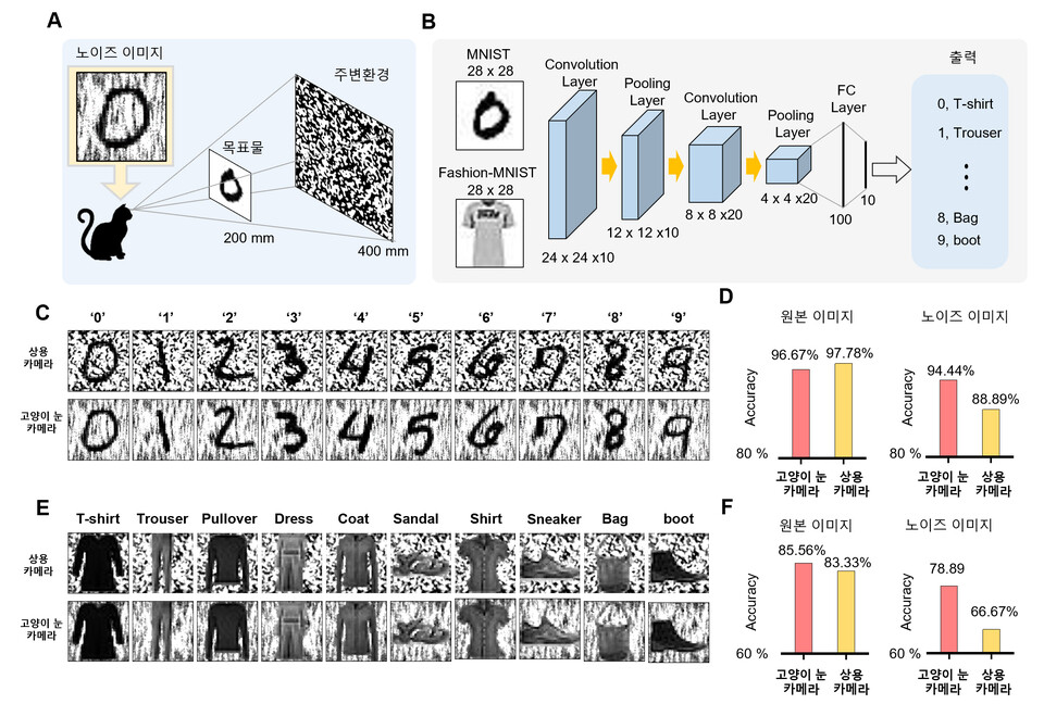 고양이 눈에서 영감을 받은 시각 시스템의 노이즈 배경에서의 객체 인식. (사진=지스트)