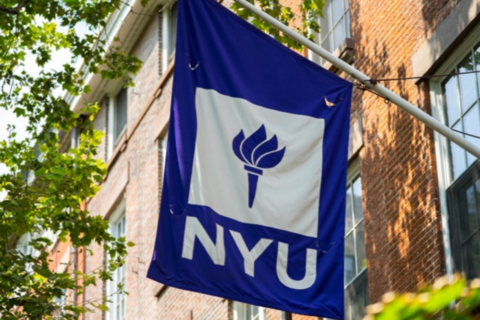 (사진=뉴욕대학교)