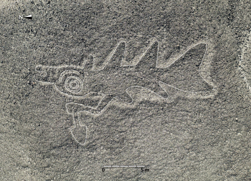 일본 연구진이 새롭게 발견한 나스카 지상화. (사진=야마가타대학 연구팀)