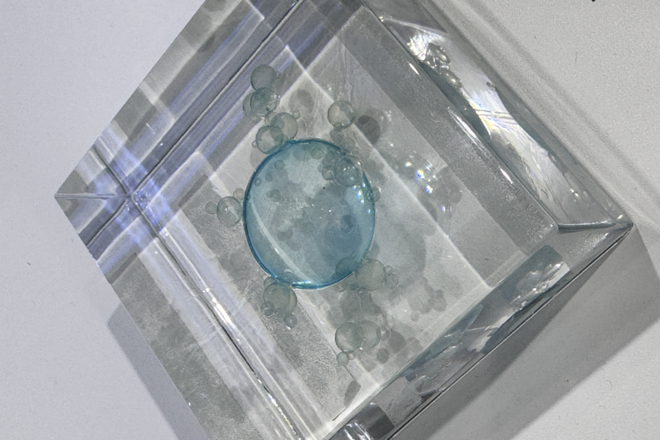 (사진=지식인미나니)