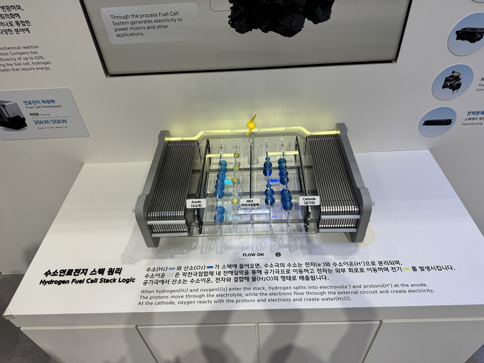 (사진=지식인미나니)