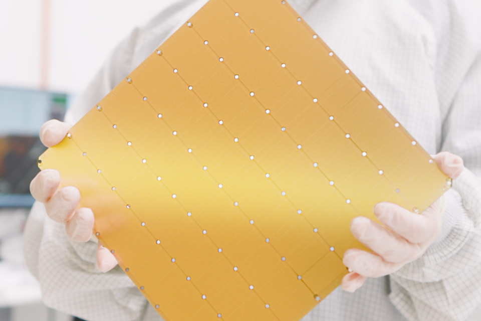 (사진=세레브라스)