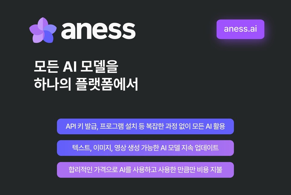 ‘아네스(aness)’ 플랫폼 주요 특징. (사진=팀제로코드)