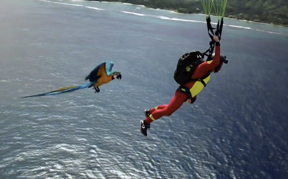 AI 영상 모델 소라로 만든 영상 갈무리. (사진=오픈AI)