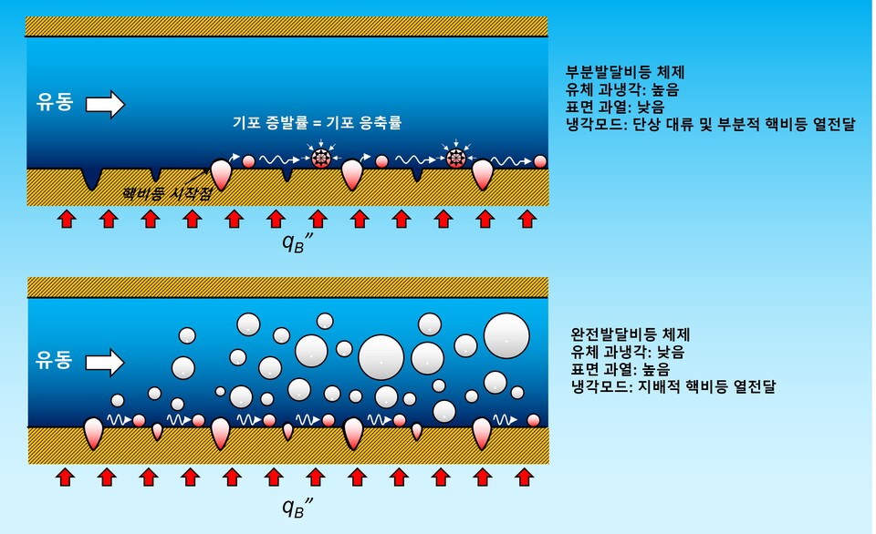 수평 환형관 내 과냉각 비등유동의 냉각 열전달 체제 모식도. (사진=지스트)