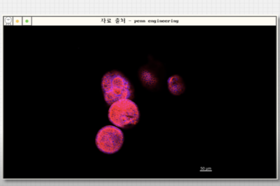 (사진=지식인미나니)