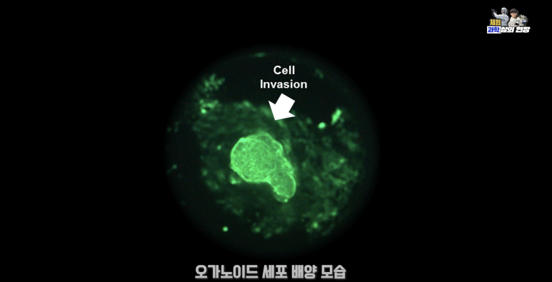 (사진=지식인미나니)