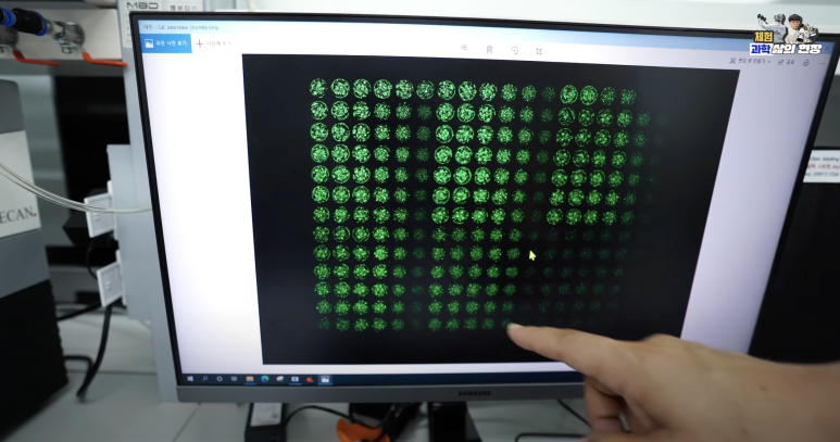 (사진=지식인미나니)