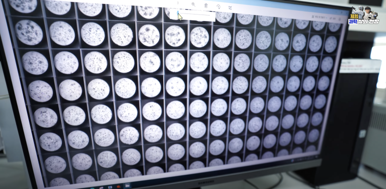 (사진=지식인미나니)