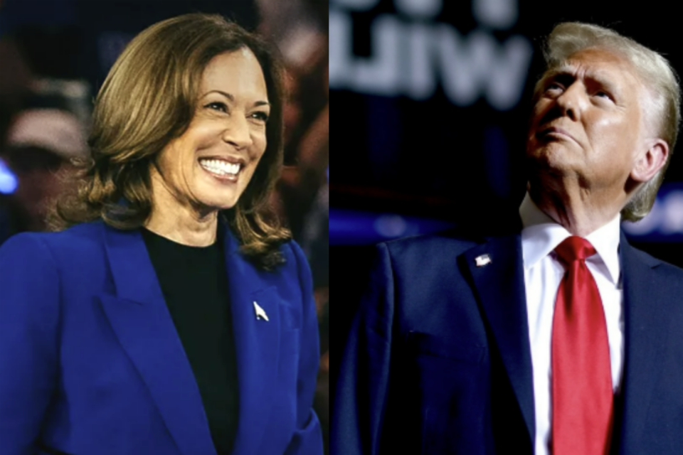 카멀라 해리스 후보(왼쪽)과 도널드 트럼프 후보. (사진=해리스 홈페이지, 트럼프 SNS)