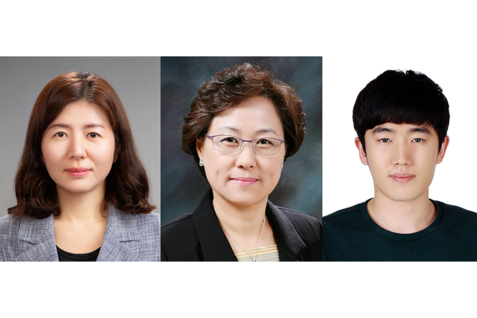 왼쪽부터) GIST AI대학원 이현주 교수, 서울대학교 의과대학 병리학교실 박성혜 교수, GIST 전기전자컴퓨터공학부 이영훈 박사. (사진=지스트)
