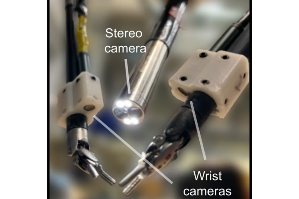 (사진=존스홉킨스 대학)