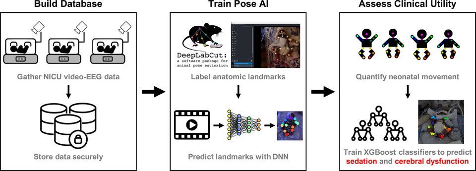 (사진=뉴욕 마운트 시나이 아이칸 의대)
