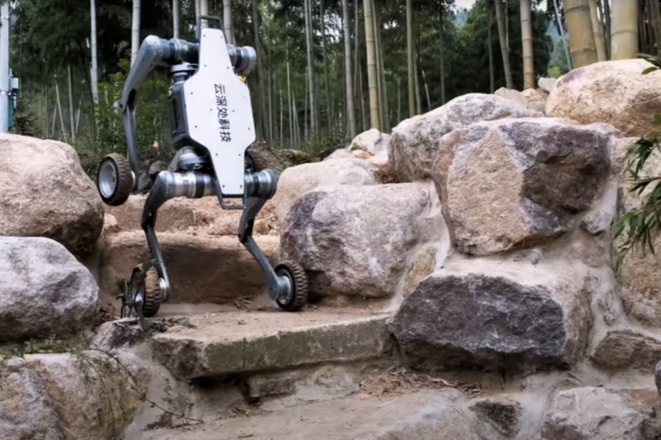 (사진=딥로보틱스)