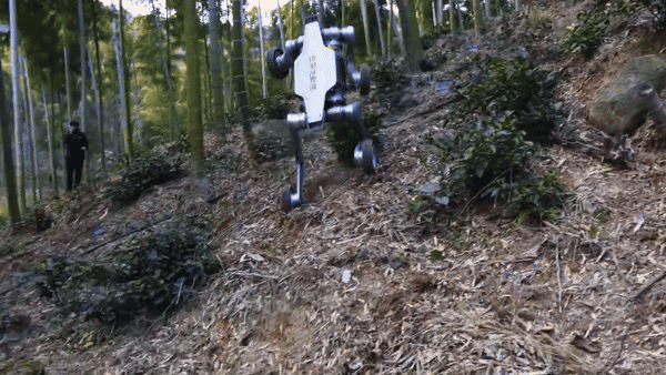 (그래픽=딥로보틱스)