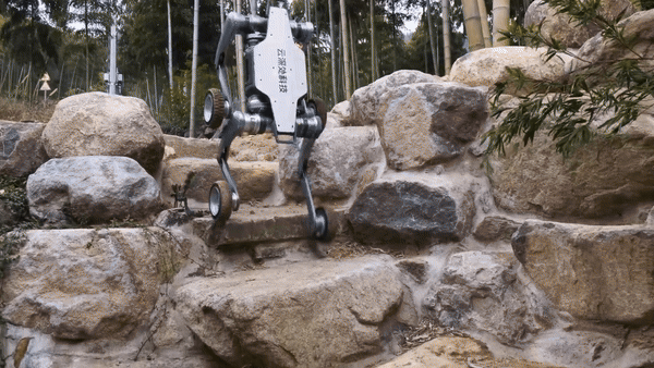 (그래픽=딥로보틱스)