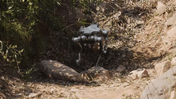 (그래픽=딥로보틱스)