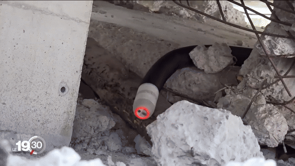 (그래픽=로보아)