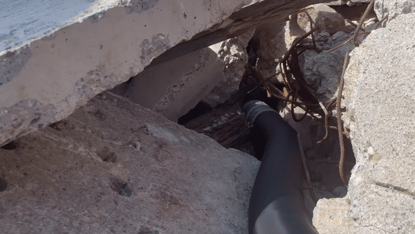 (그래픽=로보아)