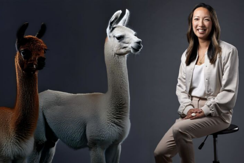 클라라 샤이 전 세일즈포스 AI 부문 CEO. (사진=링크드인)