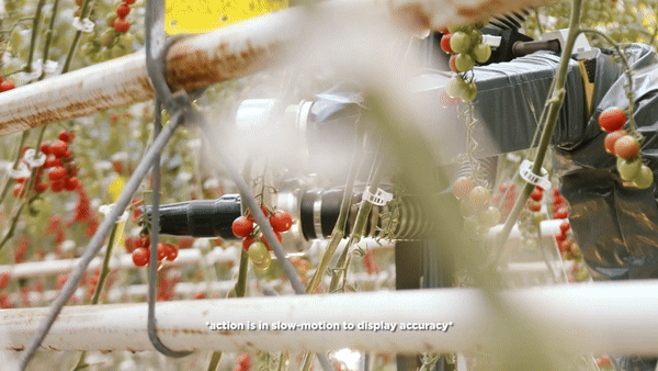 (영상=포 그로워스, 편집=AI포스트)