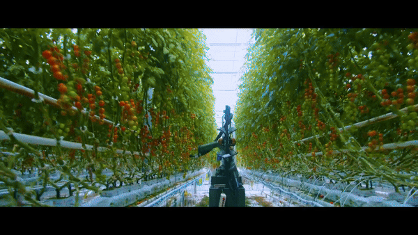 (영상=포 그로워스, 편집=AI포스트)