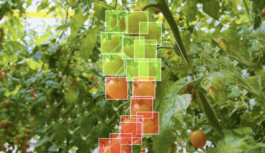 (사진=포 그로워스)