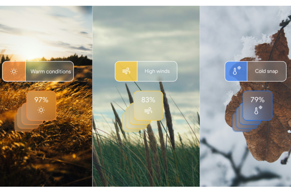 (사진=구글 딥마인드)