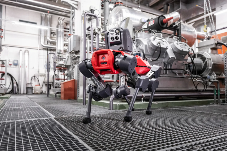 (사진=애니보틱스)