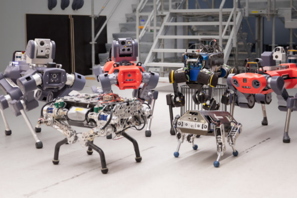 (사진=애니보틱스)