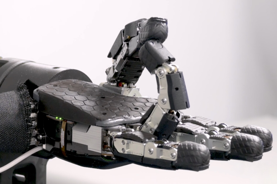 (사진=생츄어리 AI)